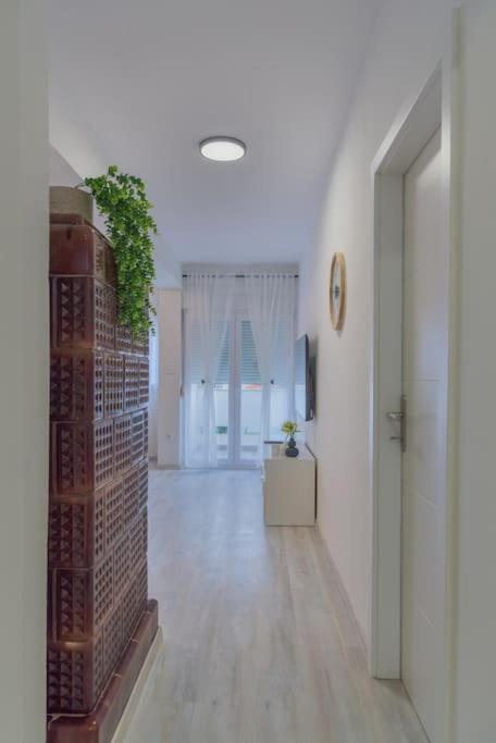 Apartman Scala Zadar Zewnętrze zdjęcie